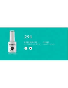 Esmalte Gel Andreia 4 Semanas Nº 291