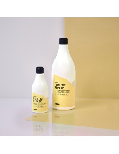 Glossco Champu Perfect Repair 1000ml